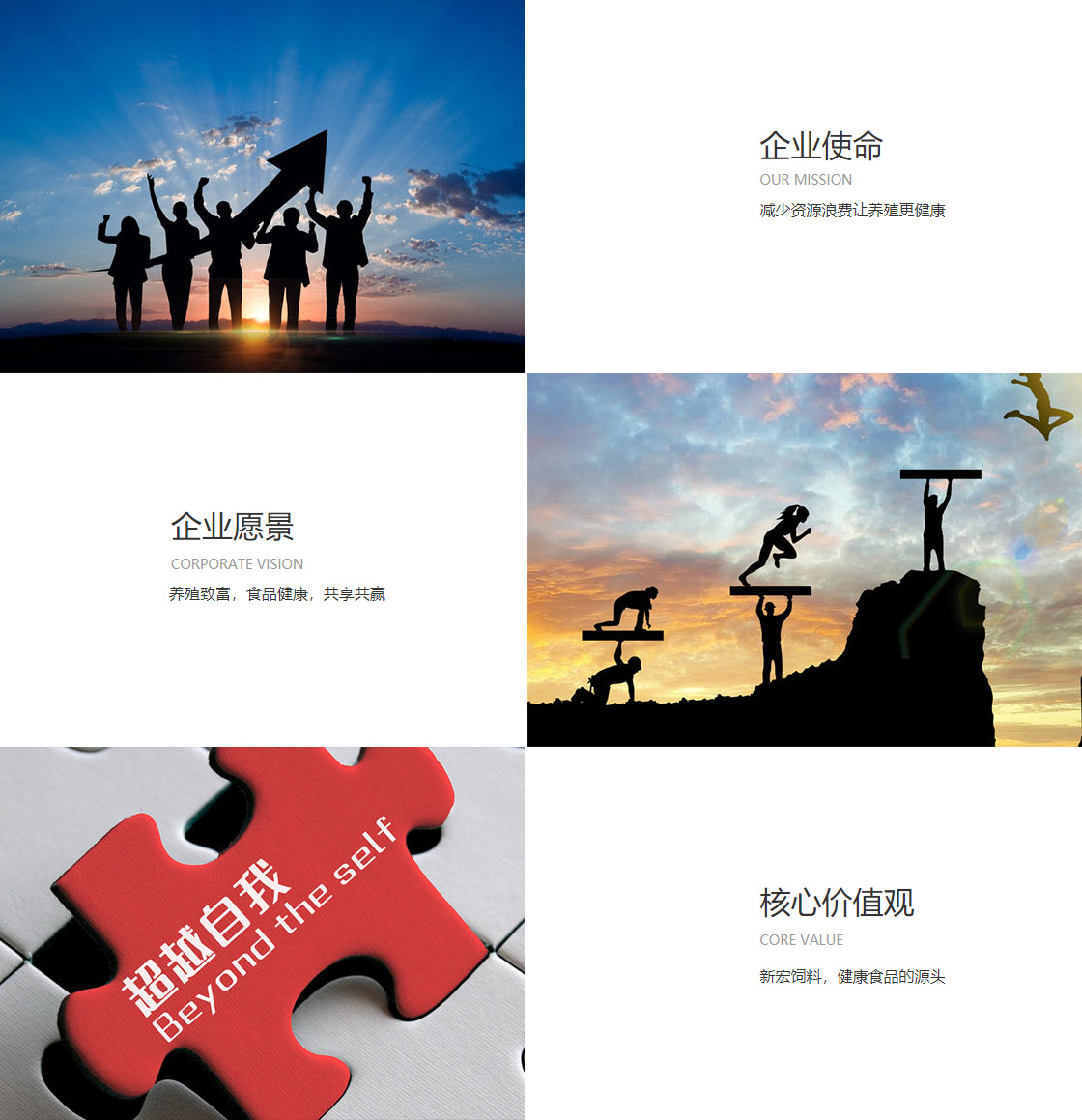 博天堂918平台在线(图1)